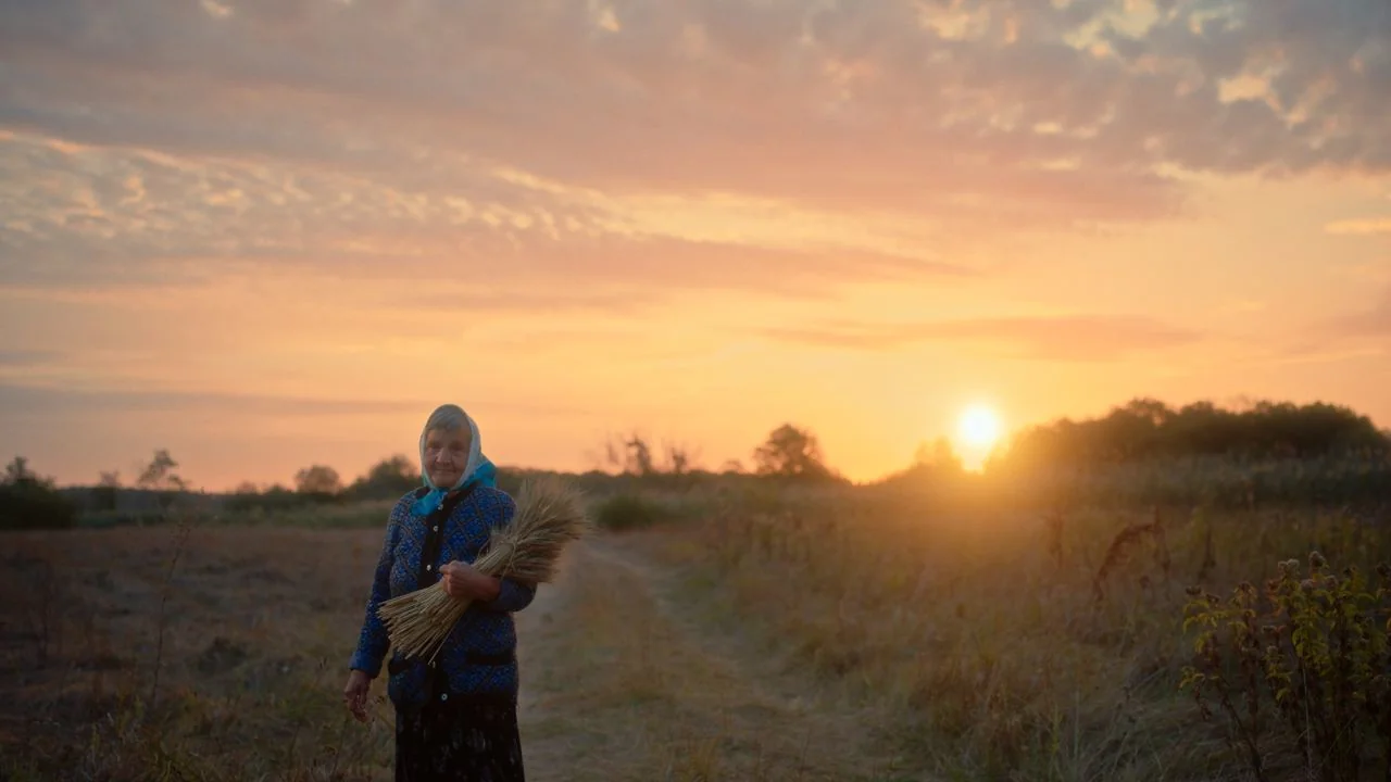 Grandma in the wheat field